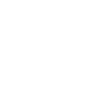 CBMS -  L’expertise technique en immobilier qui garantit votre sérénité